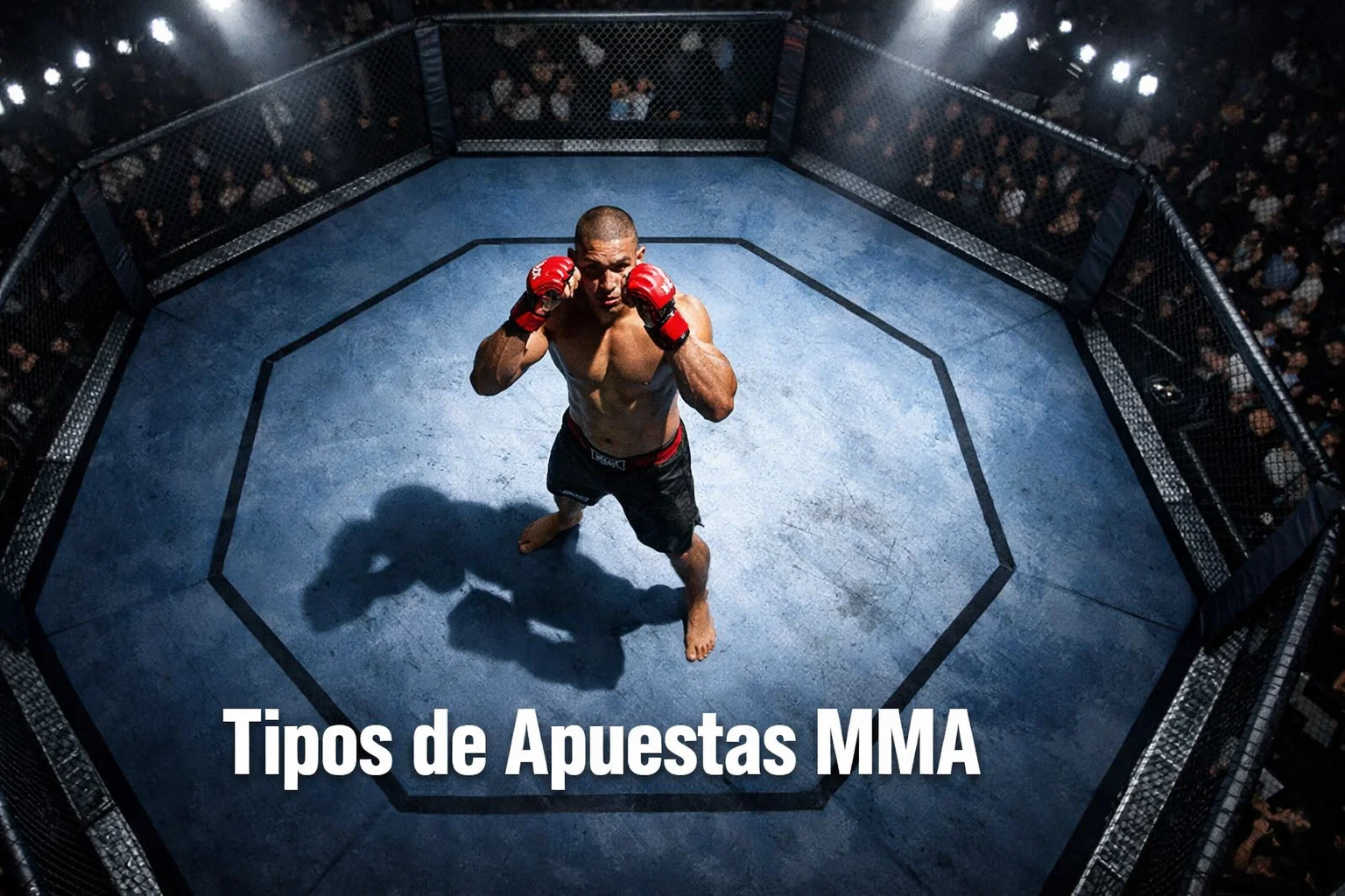 Tipos de apuestas MMA en mercados UFC